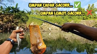 🟡Jangan sampai salah umpan mancing dispot ini TKM78 [upl. by Nomyt]