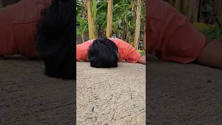 Found delicious chocolate biscuits on the streets shorts shortvideo viralvideo [upl. by Nalo]