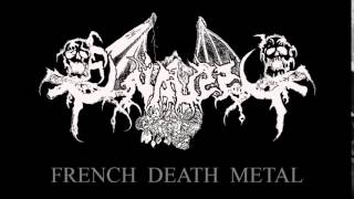 OSSUAIRE Fra Necrofistum prima nocte Death metal France [upl. by Eecyal]