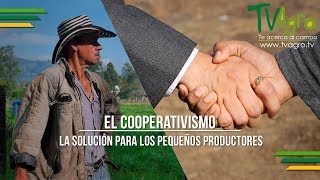 El Cooperativismo La Solución para los Pequeños Productores  TvAgro por Juan Gonzalo Angel [upl. by Petronille]