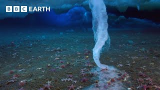 The Finger of Death that Freezes Everything it Touches  Earths Great Seasons  BBC Earth [upl. by Hanae131]