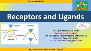 Receptors and Ligands [upl. by Bascomb]