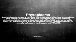 Medical vocabulary What does Phytoplasma mean [upl. by Christine]