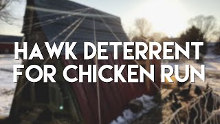 Protect Your Chickens from Hawks Using Fishing Line  Belden Farmstand [upl. by Monroy]