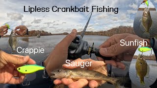 Lipless Crankbait Fishing for SaugerCrappie and Sunfish [upl. by Eirac405]