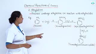 CHEMISTRY 9 3 6 ALKYLATION [upl. by Thaddeus839]