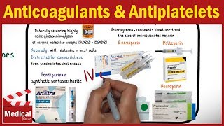 Pharmacology  Anticoagulants and Antiplatelet Drugs FROM A TO Z [upl. by Packer545]