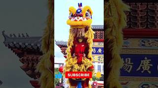 Lion Dance CNY 2023  Barongsai KONG HA HONG [upl. by Maida]