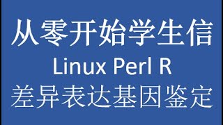 从零开始学之Linux Perl and R第九讲 差异表达基因鉴定 [upl. by Enovad396]