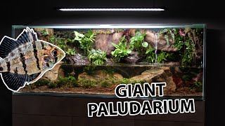 The ultimate paludarium  by aquacreate [upl. by Aicilaf]