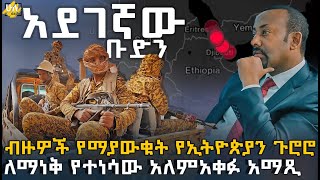 ብዙዎች የማያውቁት የኢትዮጵያን ጉሮሮ ለማነቅ የተነሳው አለምአቀፉ አማጺ  HuluDaily ሁሉዴይሊ [upl. by Luahs]