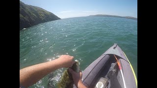 Multi species kayak fishing in Wales [upl. by Ninehc575]