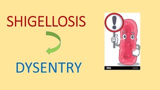 Shigellosis  Shigella dysentriae  Bacterial dysentry  MSc Medical Microbiology [upl. by Ynaitirb147]