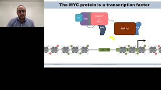 Destabilization and Degradation of MYC More Ways Than One [upl. by Lectra]