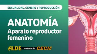 Anatomia Aparato Reproductor Femenino [upl. by Dene29]