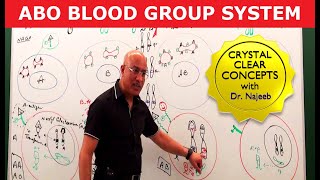 ABO Blood Group System  Blood Types amp ABO Antigens👨‍⚕️ [upl. by Ettecul]