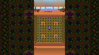 The BEST Greenhouse Layouts in Stardew Valley stardew [upl. by Shirley]