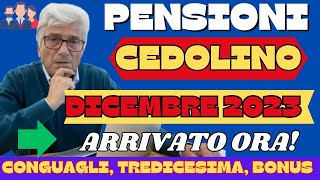 PENSIONI CEDOLINO DICEMBRE 2023 ARRIVATO CONSULTA GLI IMPORTI [upl. by Aidan80]