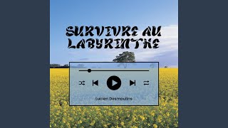 Survivre au Labyrinthe [upl. by Akitnahs]