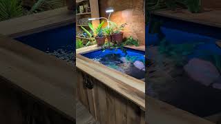 Building an indoor no leak pond tropical pondlife oasis budget [upl. by Juxon]