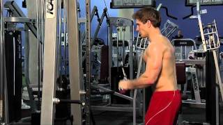 Triceps Pushdown VBar Attachment [upl. by Ayocat921]