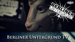 Mehr als nur ein 16er  02  Nr65 Pilz [upl. by Erma]