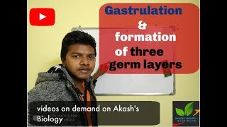 Gastrulation and formation of three Germ layers [upl. by Haimarej962]