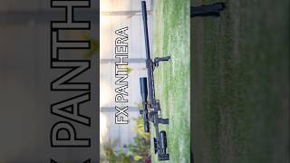 Unreal Airgun Accuracy  LongRange Headshot  Best Airguns in the world  FX Panthera  FX Airguns [upl. by Teews]