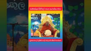 තමන්ගේ බිරිඳට සාප කරන්න ඵපා ven welimada saddhaseela thero [upl. by Ardnat]