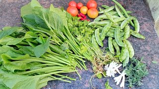 vegetables harvestterrace gardenin Telugu skylabsworld [upl. by Bar]