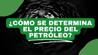 ¿Cómo se determina el valor del petróleo  Dinero en Imagen [upl. by Crowley]