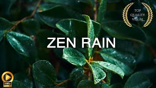 10 Hour  Calm Rain ASMR  Spiritual Rain Meditation  Relaxing Background Ambience [upl. by Fassold84]