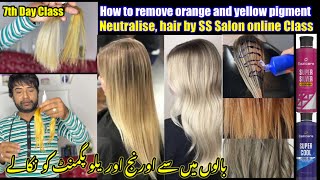 Live Class How to Neutralise Hair  How to Remove Yellow and Orange Pigment with Shampoo and Colour [upl. by Yorgen]