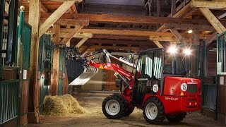 Weidemann – Hoftrac® 1240LP Einsatz auf einem Pferdehof [upl. by Trebloc881]