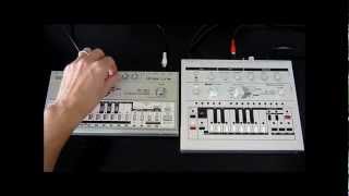 Roland tb303 vs x0xb0x Comparison [upl. by Vins748]