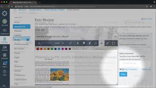 Peer Reviews Canvas Tutorial Video Series [upl. by Yenobe]