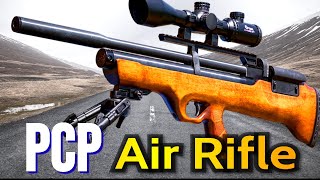 Best PCP Air Rifle 2024 – The Only 8 You Should Consider Today [upl. by Hepza]