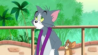 Tiger Cat 44  Tom and Jerry Tales HD [upl. by Annekim950]