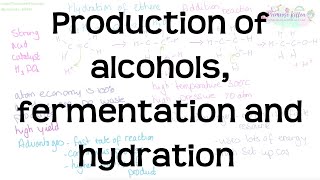 Production of Alcohols Fermentation and Hydration  Revision for Chemistry ALevel and IB [upl. by Adamok]