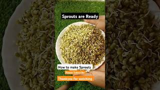 How to make Sprouts at home Hesaru kalu molake kattodo [upl. by Sharity]