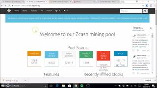 How To Mine ZCash On Flypool Setup Video  Crypto Buddy [upl. by Trask143]