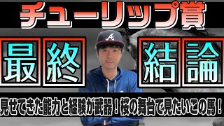 【チューリップ賞2024】キャリアの豊富さ、能力をここで全開に！本番での好走も期待したい一頭！タガノエルピーダ、ガルサブランカ、スティールブルーらが桜の権利取りへ【競馬予想】 [upl. by Neggem314]