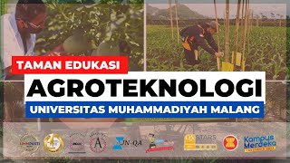 Agroteknologi Universitas Muhammadiyah Malang  Profil Taman Edukasi Agroteknologi [upl. by Aletta546]