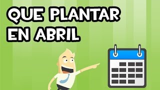 Que SEMBRAR y PLANTAR en ABRIL  Calendario de Siembra [upl. by Dwan]