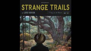 lord huron  the night we met ﾉ vocals only ﾉ [upl. by Mumford]