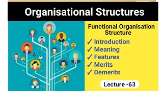 Lecture 63  Functional Organisation  Introduction Meaning Merits and Demerits [upl. by Booma]