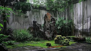 雨声助眠，深度睡眠白噪音，自然声音放松音乐，ASMR雨声，冥想音乐和学习音乐 [upl. by Kurzawa]