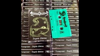 Vital Vinyl Vlogs ReReview Transgressor Beyond Oblivion TapeLP [upl. by Ahsiram]