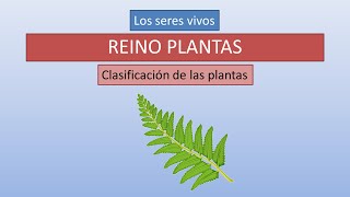 Plantas características y clasificación [upl. by Ainej]