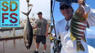 San Diego Bluefin Tuna Sportfishing Report amp Loreto Baja Fishing Pargo amp Cabrilla  SDFS July 2023 [upl. by Allesor674]